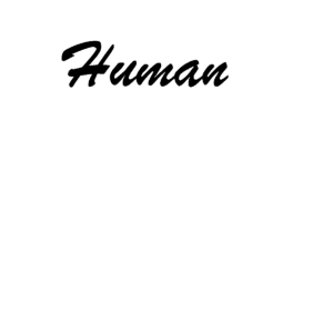 level 1 - human - print 2